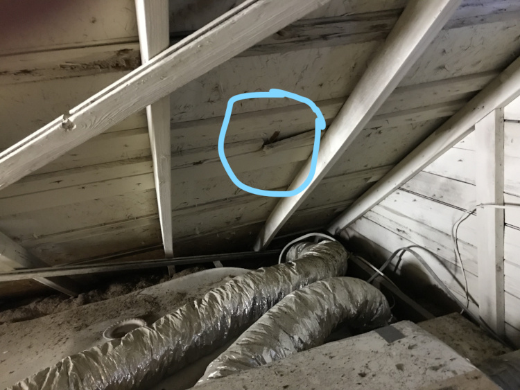 attic1 - Broken Roof Support